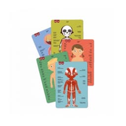 The human Body magnets - Image 3