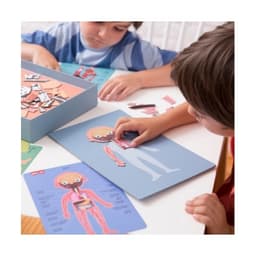 The human Body magnets - Image 4