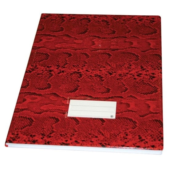 Record Book Bassile Freres 430 PVC 3 Col.Foolscap 96 sheets