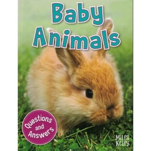 My Question & Answer N:01 Baby Animals