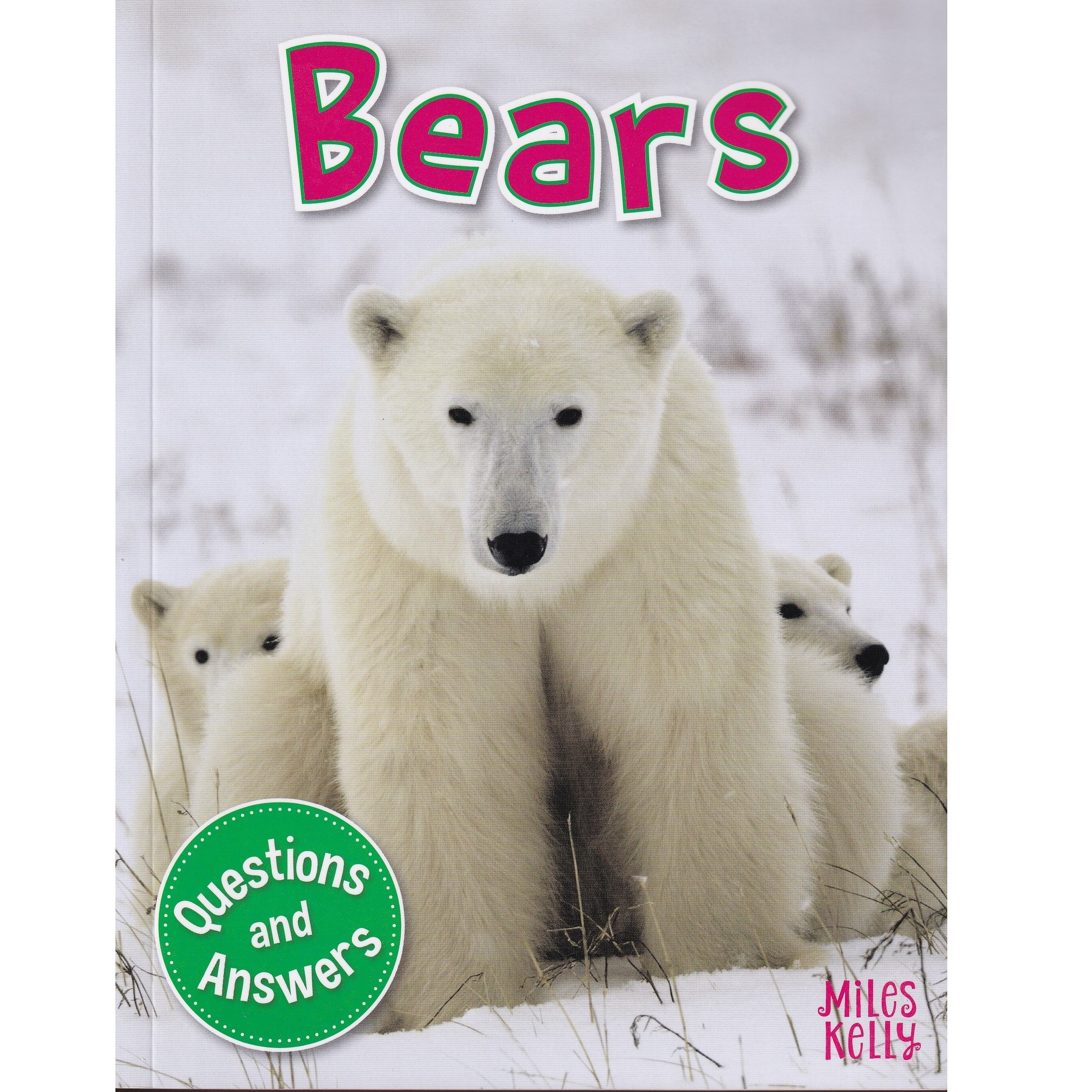 My Question & Answer N:02 Bears