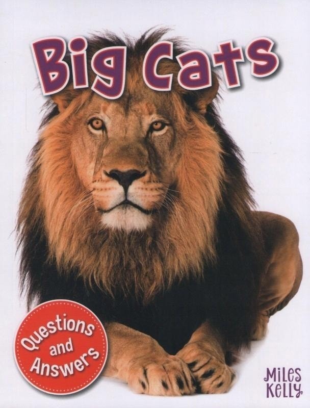 My Question & Answer N:03 Big Cats