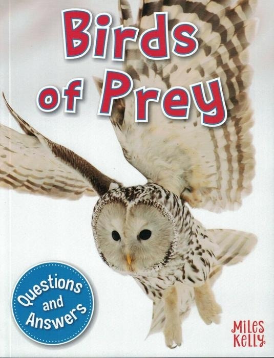 My Question & Answer N:04 Birds Of Prey