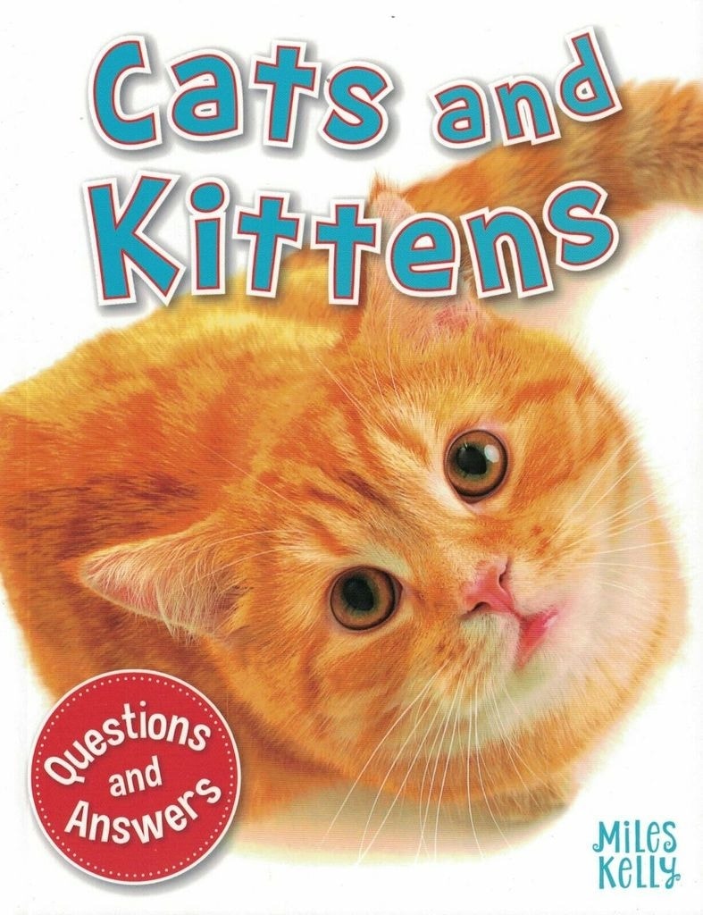 My Question & Answer N:05 Cats And Kiyyens