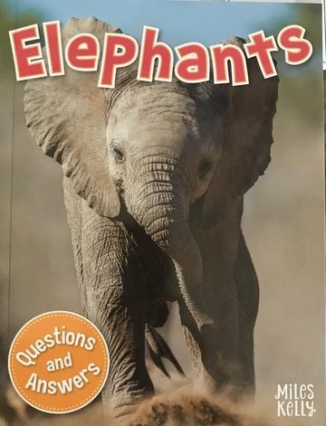 My Question & Answer N:09 Elephants