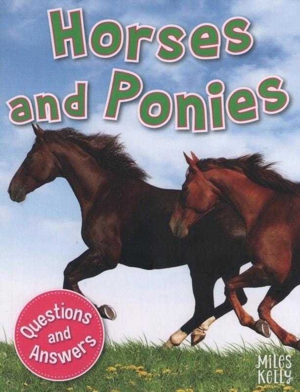 My Question & Answer N:11 Horses And Ponies