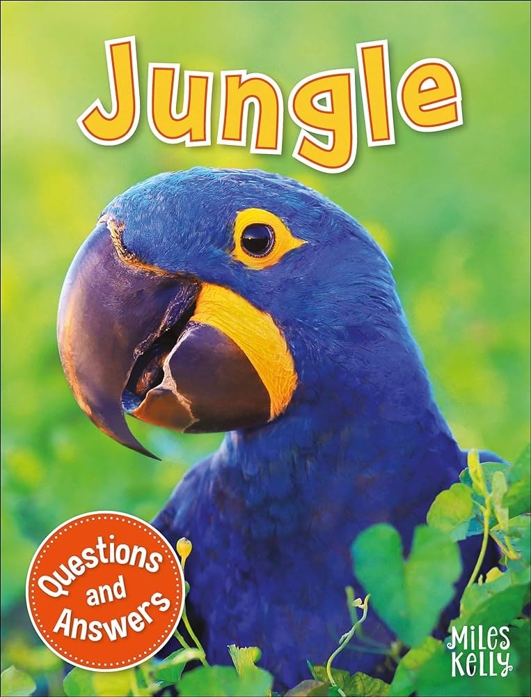 My Question & Answer N:13 Jungle