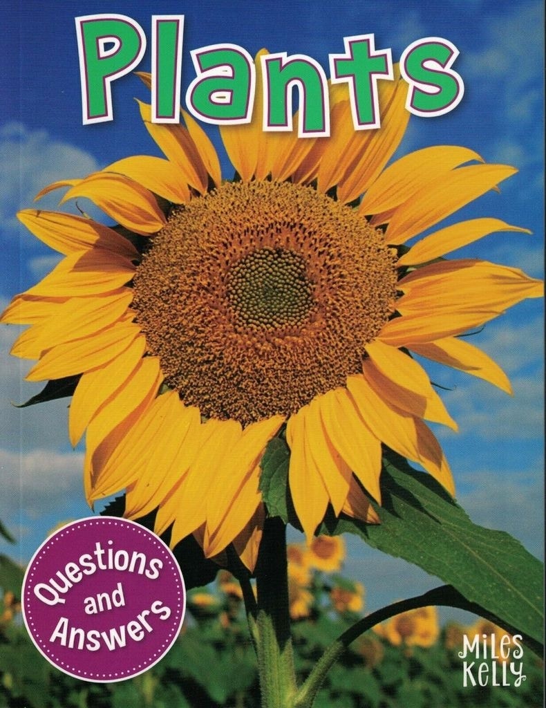 My Question & Answer N:18 Plants