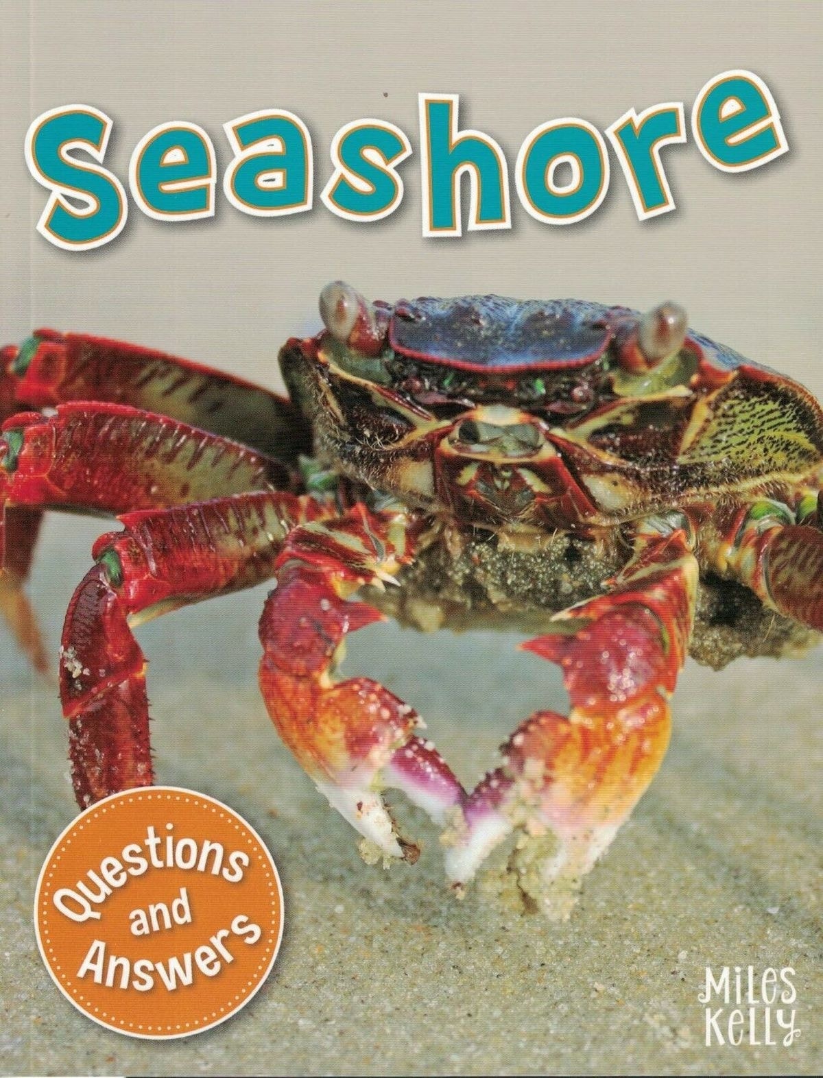 My Question & Answer N:20 Seashore