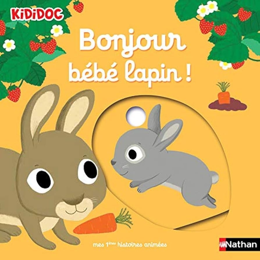 Kididoc Histoires - Bonjour Bebe Lapin !