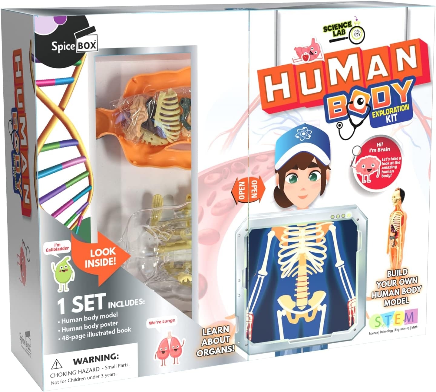 Spice Box Human Body