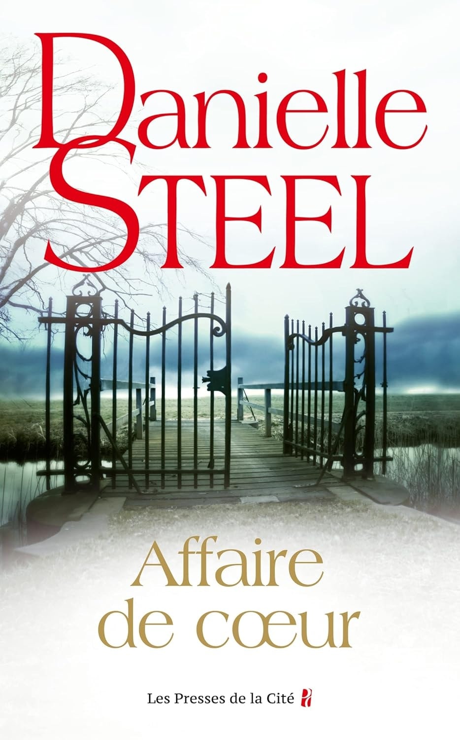 Affaire De Coeur