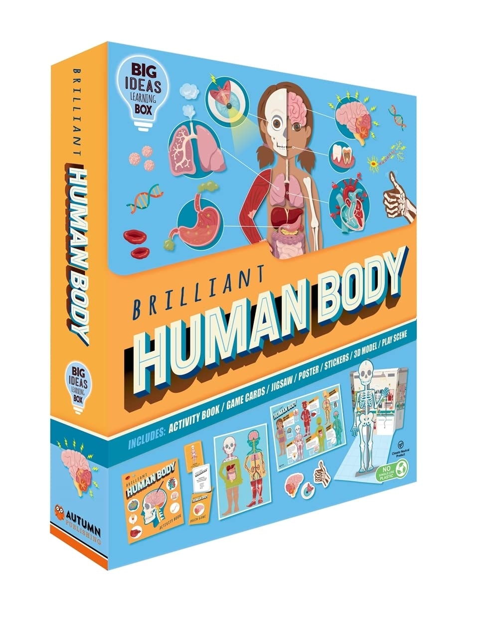Box Brilliant Human Body