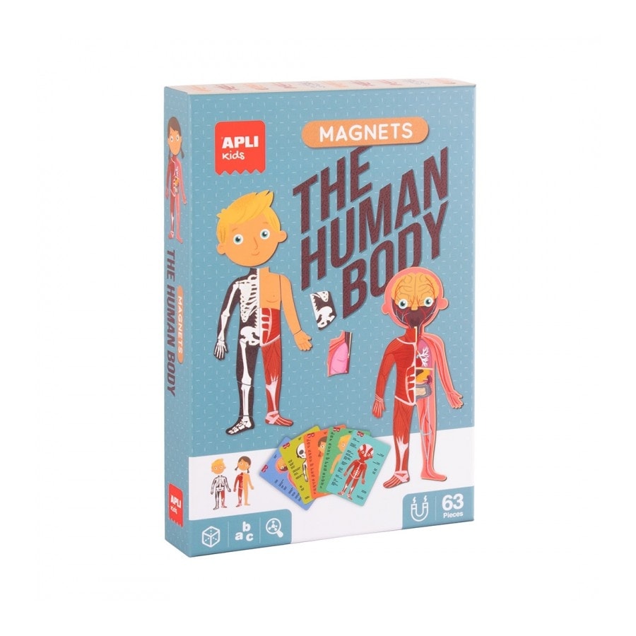 The human Body magnets