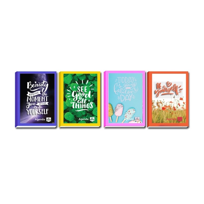 Diary School Opp Hard Cover Picture 2026/2027 Ap1602