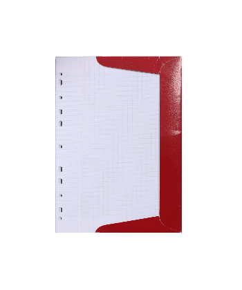 Filler Paper Mintra A4 Seyes 100Sh 90G Double 93698